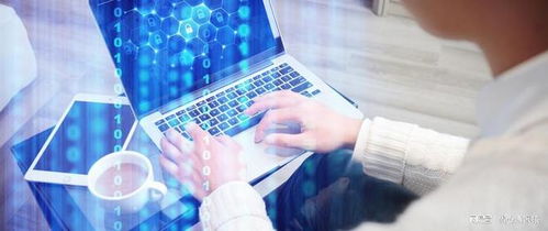 網絡工程 冷門專業的現實挑戰與性別迷思