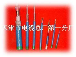 天津市電纜總廠第一分廠產品詳解 阻燃電纜與特種電纜全面展示